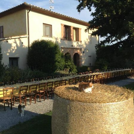 Agriturismo Giuncola & Granaiolo Rispescia Eksteriør bilde