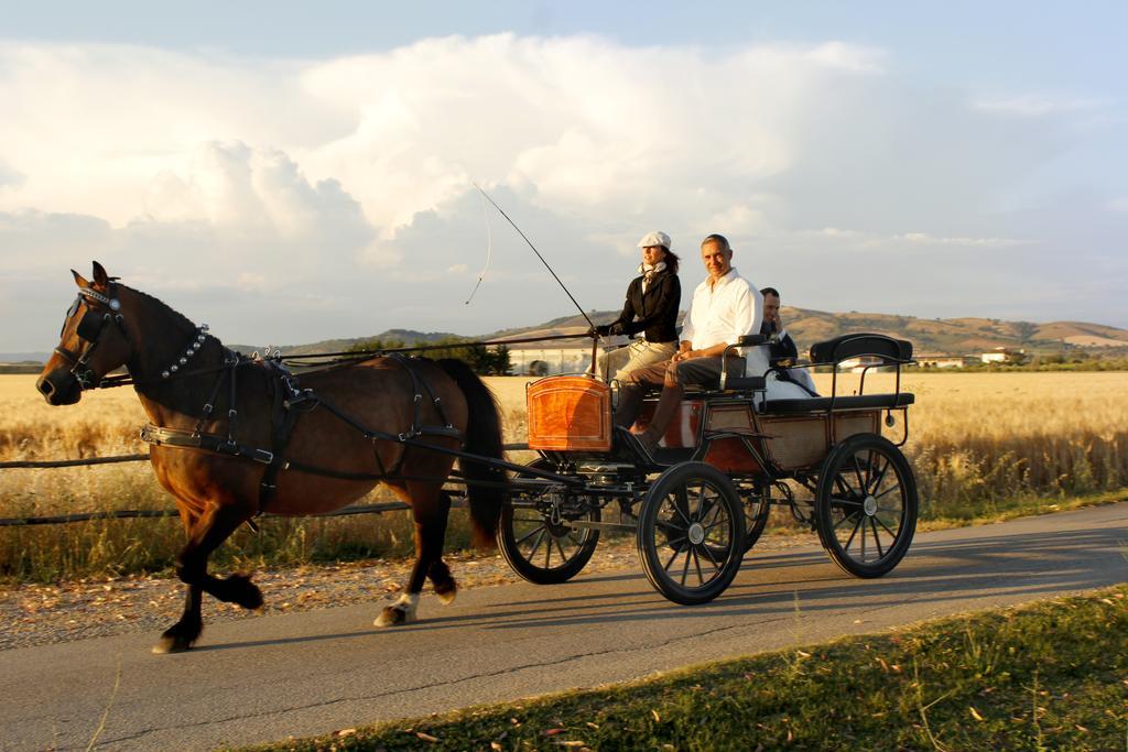 Agriturismo Giuncola & Granaiolo Rispescia Eksteriør bilde