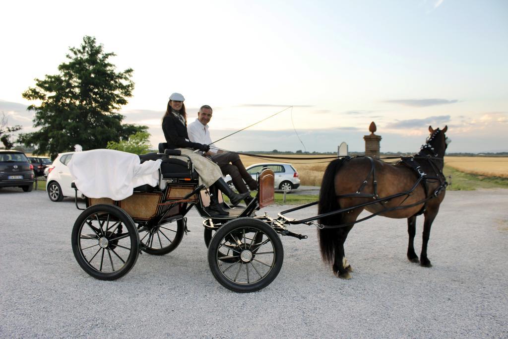Agriturismo Giuncola & Granaiolo Rispescia Eksteriør bilde