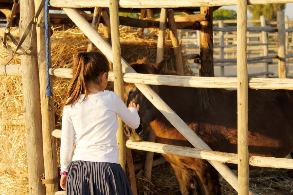 Agriturismo Giuncola & Granaiolo Rispescia Eksteriør bilde