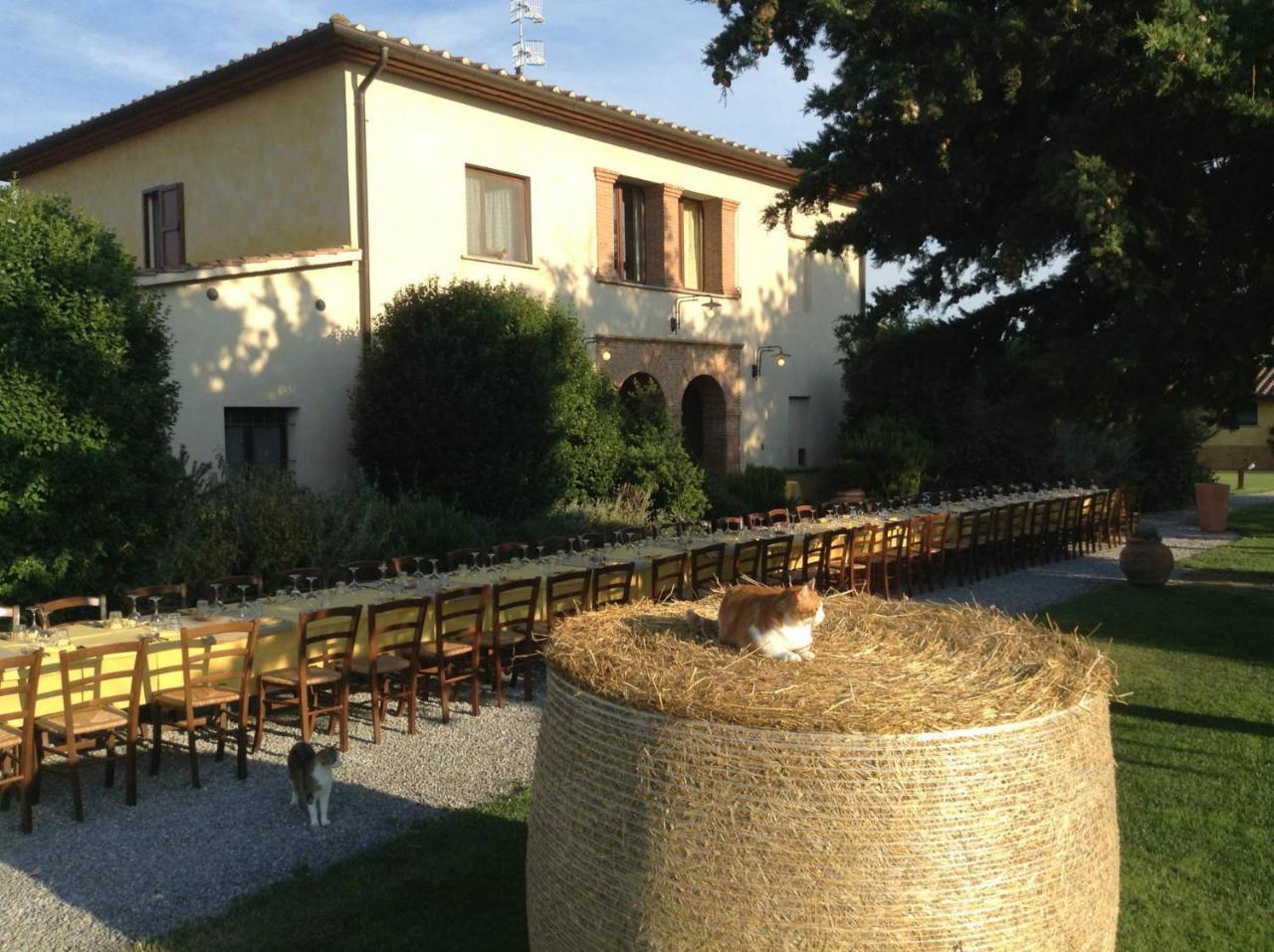 Agriturismo Giuncola & Granaiolo Rispescia Eksteriør bilde